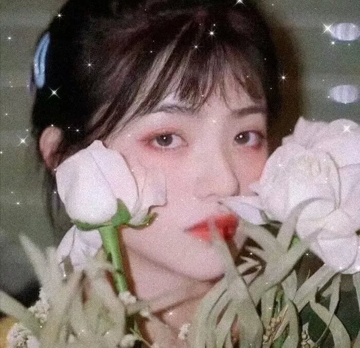 极地毁灭